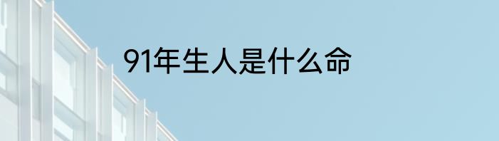 91年生人是什么命