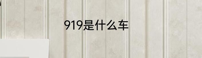 919是什么车