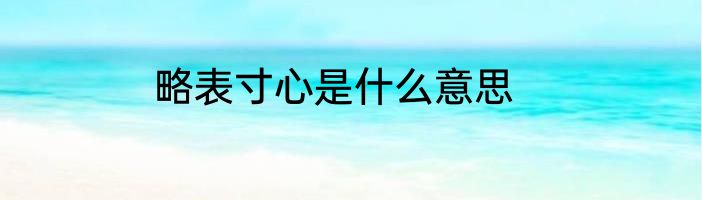 略表寸心是什么意思