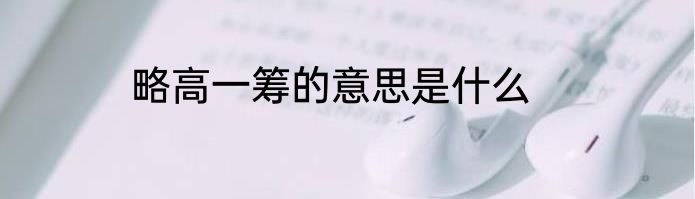 略高一筹的意思是什么