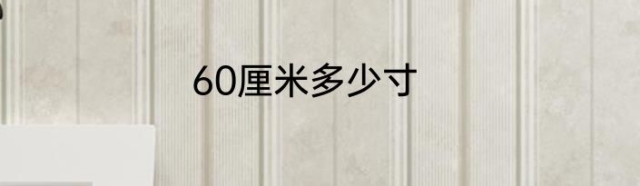 60厘米多少寸