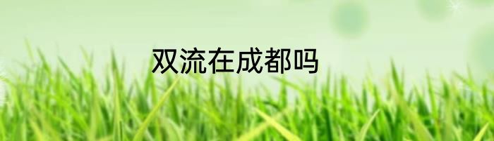 双流在成都吗