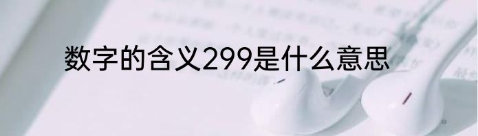 数字的含义299是什么意思