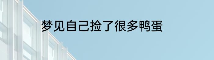 梦见自己捡了很多鸭蛋