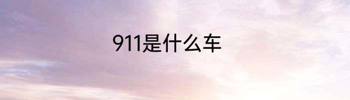 911是什么车