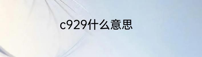 c929什么意思