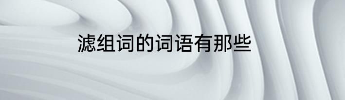 滤组词的词语有那些