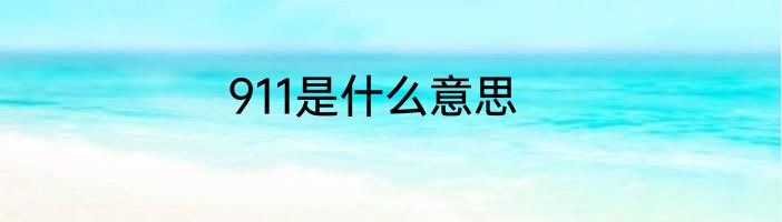 911是什么意思