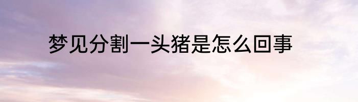 梦见分割一头猪是怎么回事