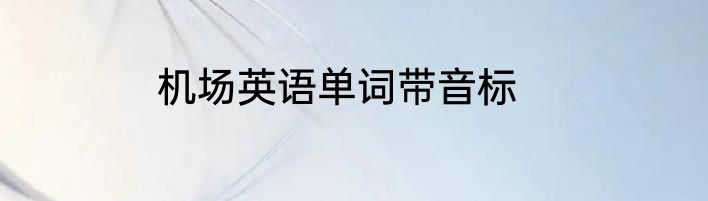 机场英语单词带音标