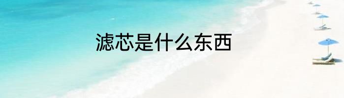 滤芯是什么东西