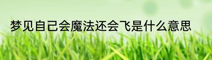 梦见自己会魔法还会飞是什么意思