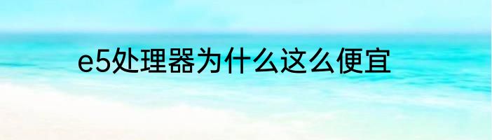 e5处理器为什么这么便宜