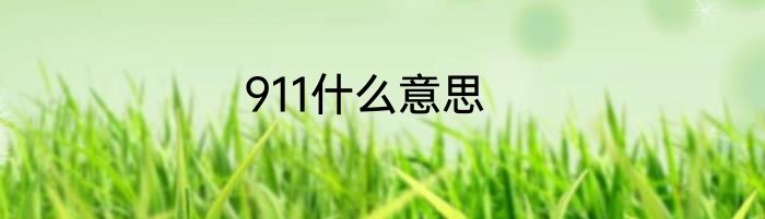 911什么意思