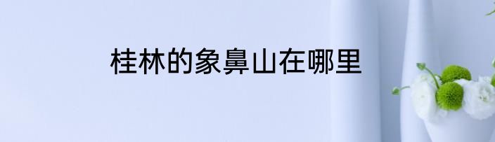 桂林的象鼻山在哪里