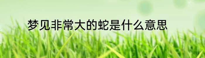 梦见非常大的蛇是什么意思