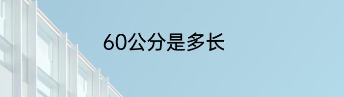 60公分是多长