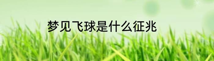 梦见飞球是什么征兆