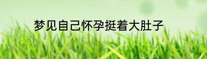 梦见自己怀孕挺着大肚子