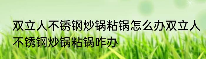 双立人不锈钢炒锅粘锅怎么办双立人不锈钢炒锅粘锅咋办
