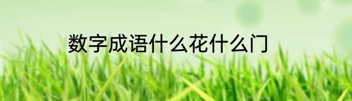 数字成语什么花什么门