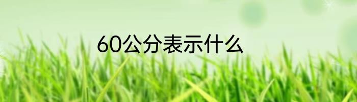 60公分表示什么