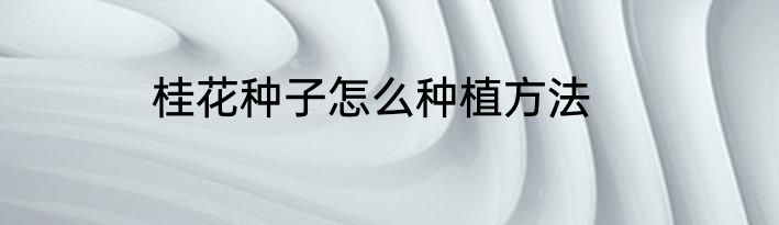桂花种子怎么种植方法