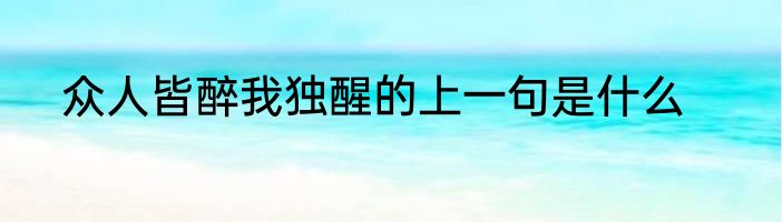 众人皆醉我独醒的上一句是什么