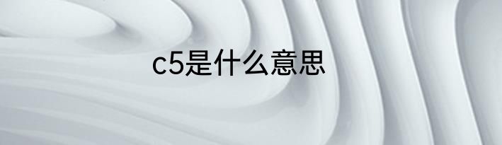 c5是什么意思