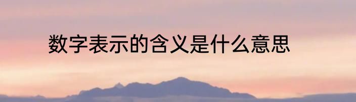 数字表示的含义是什么意思