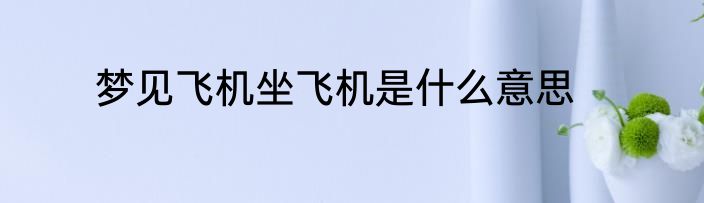 梦见飞机坐飞机是什么意思