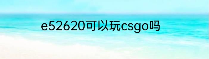 e52620可以玩csgo吗