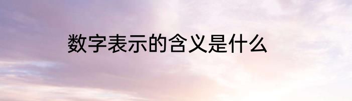 数字表示的含义是什么