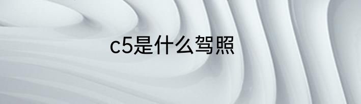 c5是什么驾照