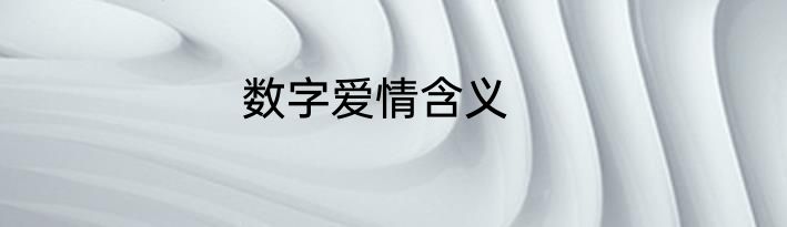 数字爱情含义