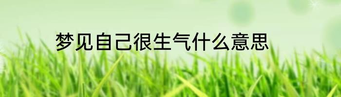 梦见自己很生气什么意思