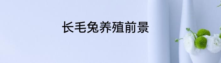 长毛兔养殖前景