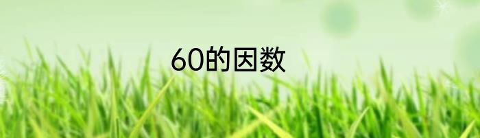 60的因数