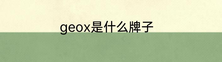 geox是什么牌子