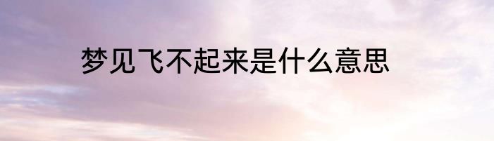 梦见飞不起来是什么意思