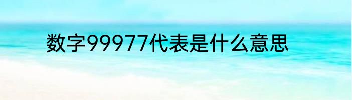 数字99977代表是什么意思