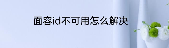 面容id不可用怎么解决