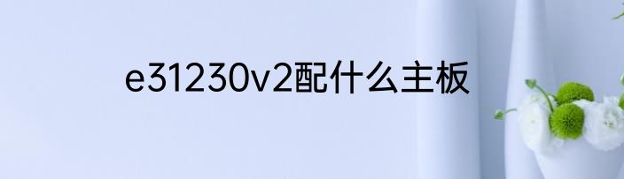 e31230v2配什么主板