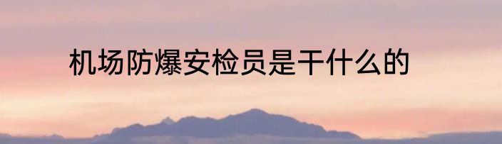 机场防爆安检员是干什么的