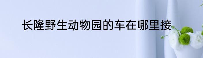长隆野生动物园的车在哪里接