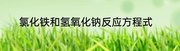 氯化铁和氢氧化钠反应方程式