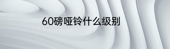 60磅哑铃什么级别