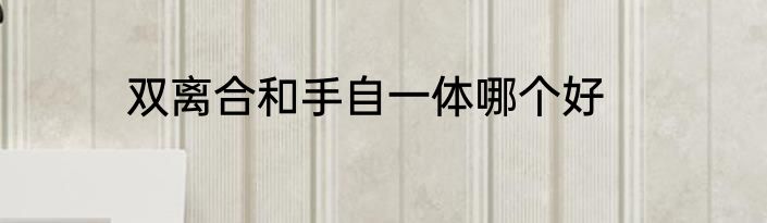 双离合和手自一体哪个好