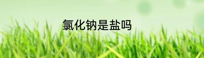 氯化钠是盐吗