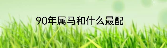 90年属马和什么最配